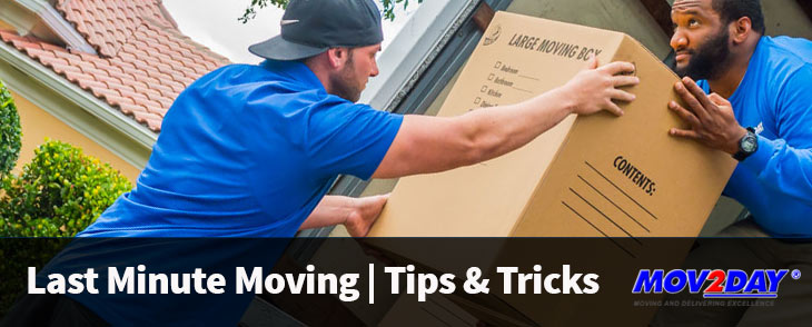Last Minute Moving - Tips & Tricks | Mov2Day